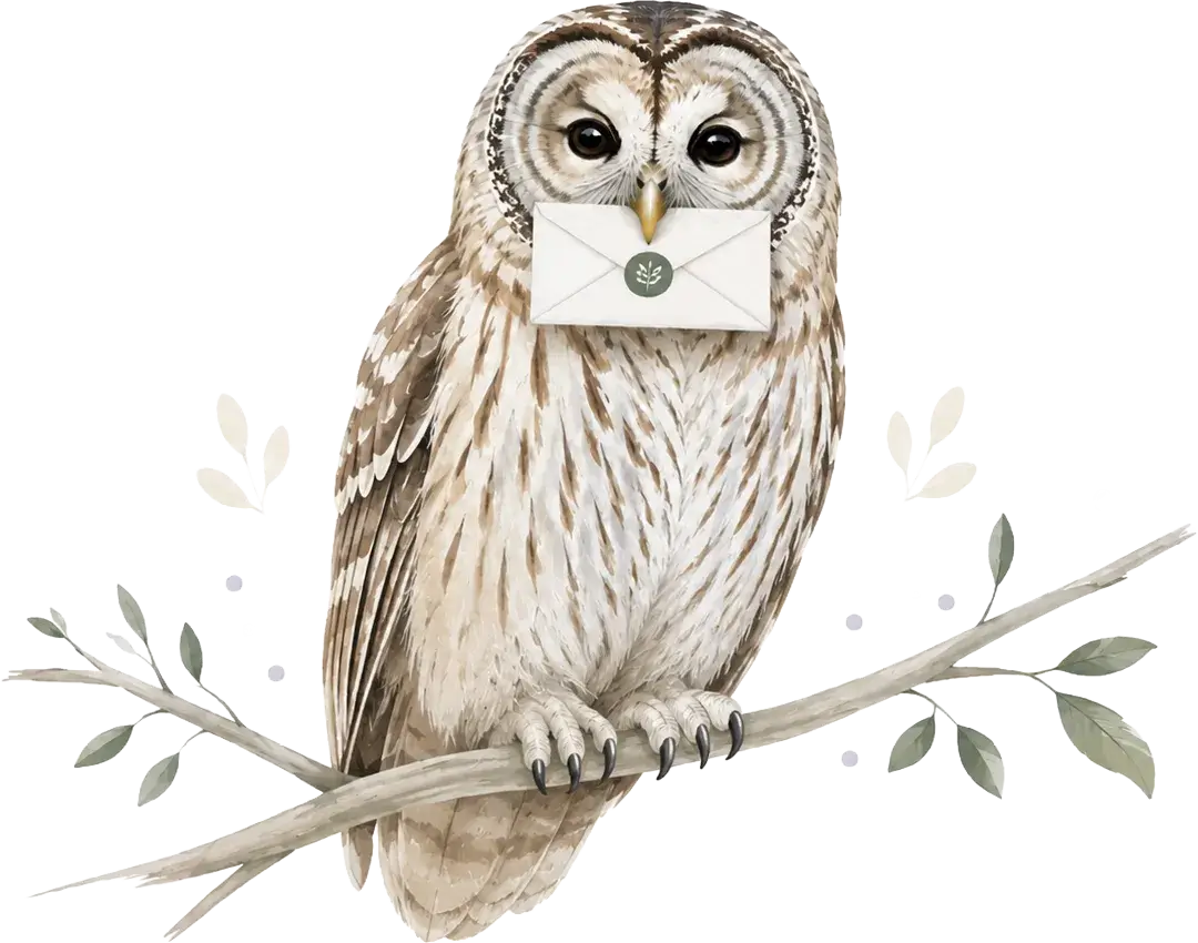 Illustration aquarelle d'une chouette rayée perchée sur une branche, tenant une enveloppe dans son bec