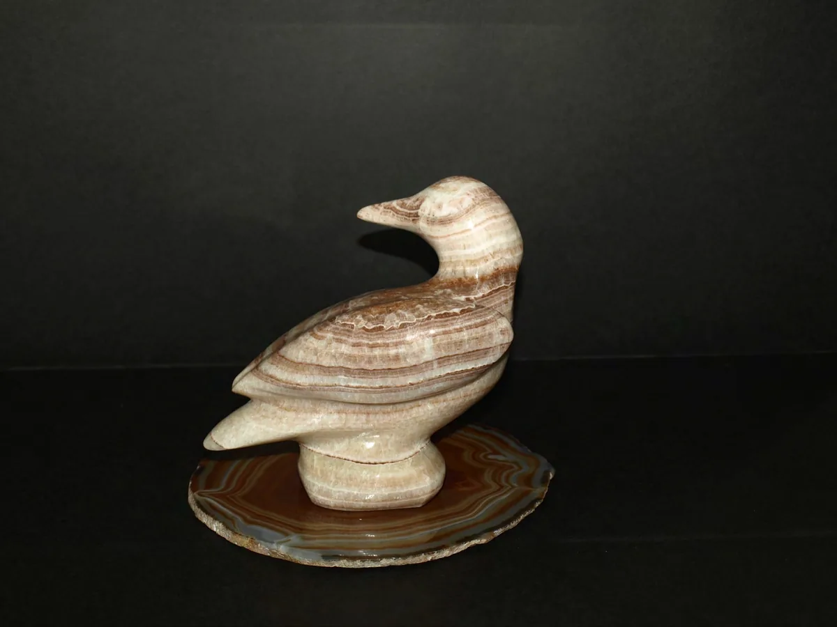 Jean-Raymond Lepage, personne gagnante du trophée de l'avicourse 2010-2011
